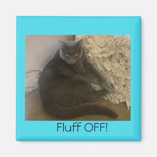 Polo le chat Fluff Off aimant (Devant)