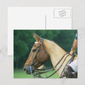 Polo Pony avec carte postale Rider (Devant / Derrière)