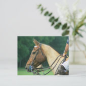 Polo Pony avec carte postale Rider (Debout devant)