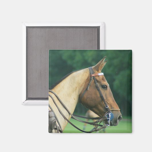 Polo Pony Magnet Magneet (Voorkant / Achterkant)