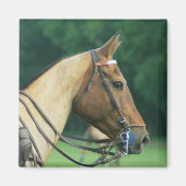 Polo Pony Magnet Magneet (Voorkant)