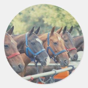 Polo Pony String Ronde Sticker
