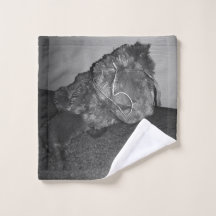 Polory's hond (zwart en wit)