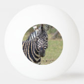 Poly Animals - Zebra Pingpongballen (Achterkant)