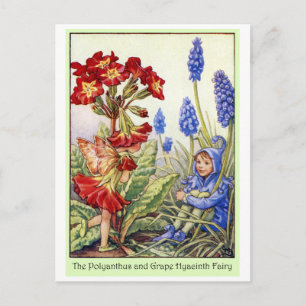 Polyanthus en Grape Hyacinth Fairy Briefkaart