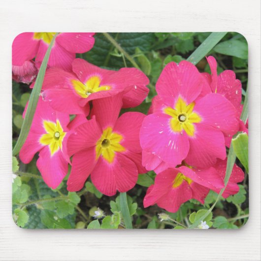 Polyanthus Mousepad Muismat (Voorkant)