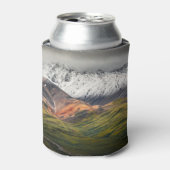 Polychrome berg, Denali NP, Alaska Blikjeskoeler (Blikje Voorkant)