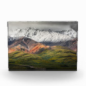 Polychrome berg, Denali NP, Alaska Fotoblokken (Voorkant)