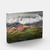 Polychrome berg, Denali NP, Alaska Fotoblokken (Links)