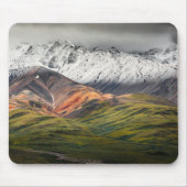 Polychrome berg, Denali NP, Alaska Muismat (Voorkant)