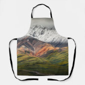 Polychrome berg, Denali NP, Alaska Schort (Voorkant)