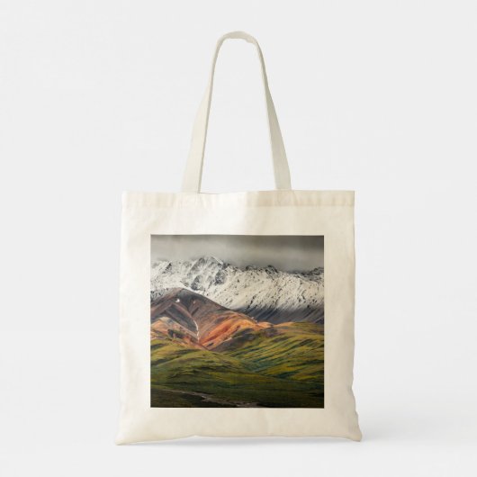 Polychrome berg, Denali NP, Alaska Tote Bag (Achterkant)