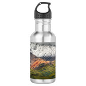 Polychrome berg, Denali NP, Alaska Waterfles (Voorkant)