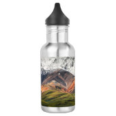 Polychrome berg, Denali NP, Alaska Waterfles (Links)