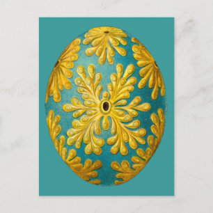 Polyclinum constellatum, Ernst Haeckel  Briefkaart