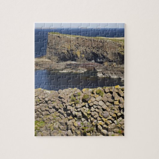 Polygonale basalt, Staffa, voor de kust van Isle o Legpuzzel (Verticaal)