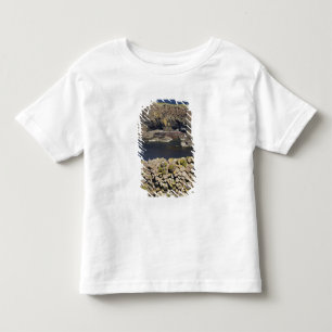Polygoonbasalt, Staffa, op het eiland Mull, Kinder Shirts