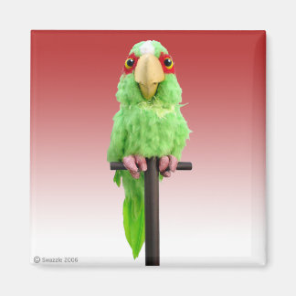 Polymeermagneet Magneet