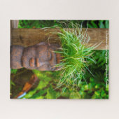 Polynesiaanse Samoa. Kerstgroeten Legpuzzel (Horizontaal)