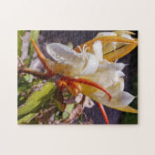 POLYNISCHE DRAAK CACTUS NACHTBLOEI LEGPUZZEL (Horizontaal)