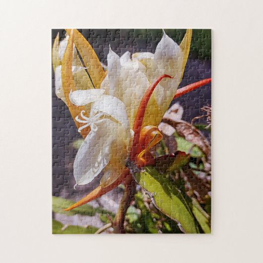 POLYNISCHE DRAAK CACTUS NACHTBLOEI LEGPUZZEL (Verticaal)