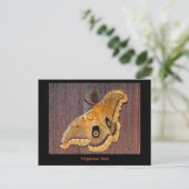 Polyphemus Moth Briefkaart (Staand voorkant)