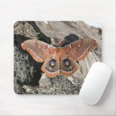 Polyphemus Moth Muismat (Met muis)