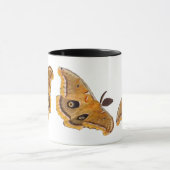 Polyphemus Moths Mok (Midden)