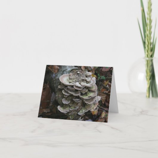 Polypore schimmelkaart (blanco) bedankkaart (Voorkant)