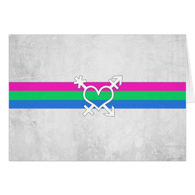 Polyseksuele Pride Vlag (Voorkant Horizontaal)