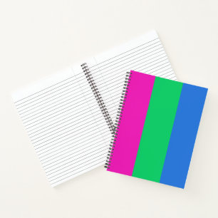 Polyseksuele Pride Vlag Notitieboek