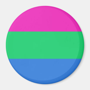 Polysexual Pride Vlag Magneet