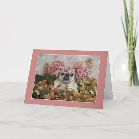 Pom Pom Pug Card Kaart (Voorkant)