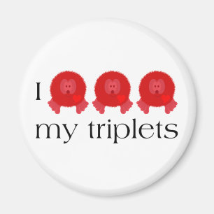 Pom Pom Triplets Magnet Magneet
