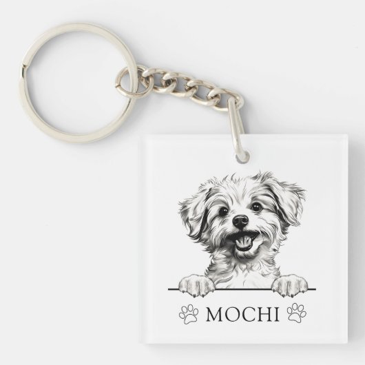 Pomapoo Hond Hand Tekening Gepersonaliseerd Sleutelhanger (voorkant)