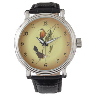 Pomatorhinus ~ Elizabeth Gould 01 V4 Horloge