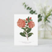 Pomegranaat Briefkaart (Staand voorkant)