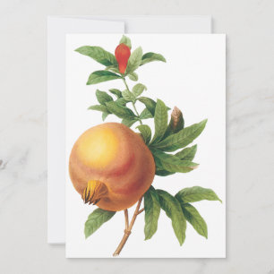 Pomegranaat door Redoute Invitation