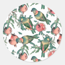 Pomegranaat en Lovevogels