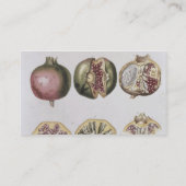 Pomegranaat, gegraveerd door Johann Jakob Haid (17 Visitekaartje (Achterkant)