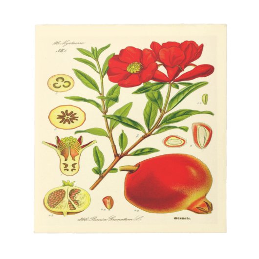 Pomegranaat Notitieblok (Voorkant)