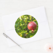 Pomegranaat op bijkantoor ronde sticker (Envelop)