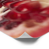 Pomegranaat Poster (Hoek)
