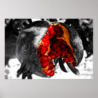 Pomegranaat Poster