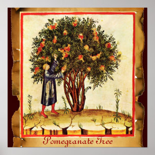 POMEGRANAAT TREE ANTIEK PARCHMENT POSTER