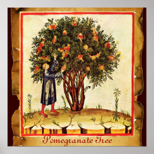 POMEGRANAAT TREE ANTIEK PARCHMENT POSTER