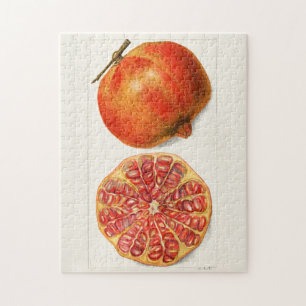 Pomegranaten (Punica Granatum) Legpuzzel