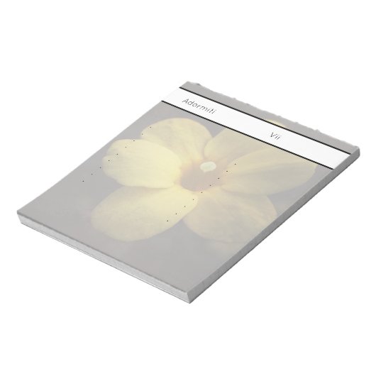 Pomelnic Notitieblok (Gedraaid)