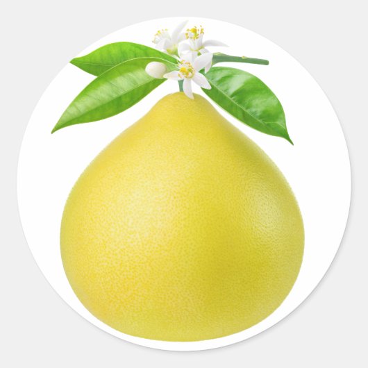 Pomelo op een tak ronde sticker (Voorkant)