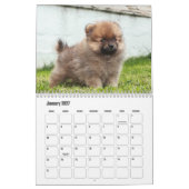 pomeraanse kalender (Jan 2027)